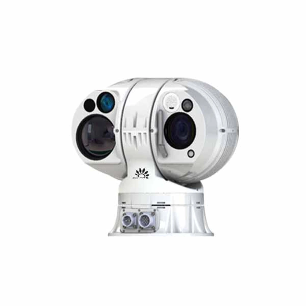 Intelligent Electronic Sentinel - HP-DMS10