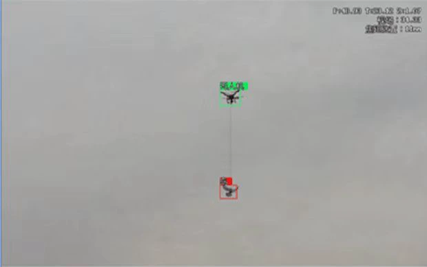 "Bird Strikes" Pose an Aviation Challenge, and Hopewells Low-Altitude Security Management System Ensures Safe Flight Operations